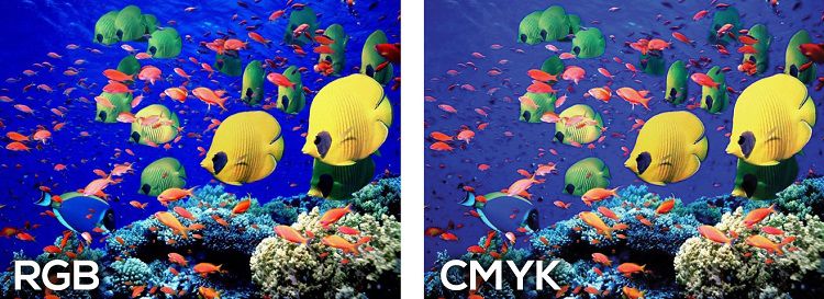 So sánh RGB và CMYK